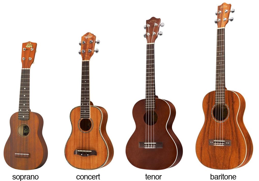 The different ukulele sizes