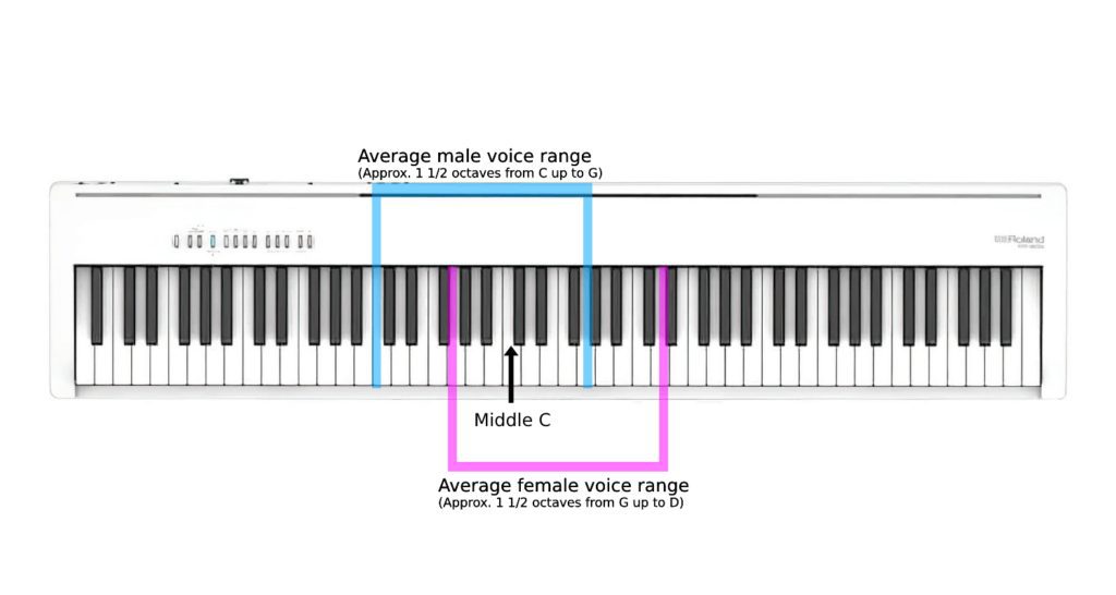 Image highlighting the typical vocal range of a man or a woman.