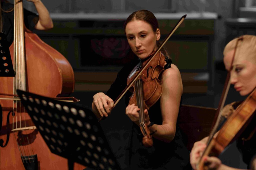 Cours de violon - Cours de musique à domicile